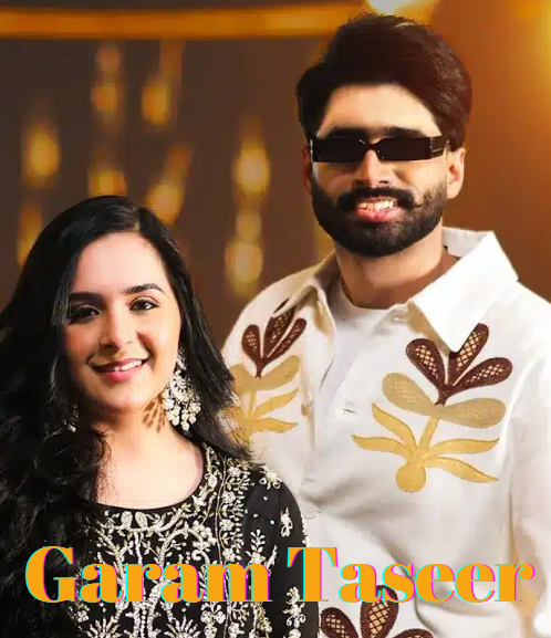 Garam Taseer Song Cast & Crew Members